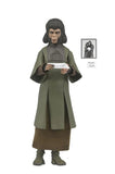 New shipping this week - NECA Planet of the Apes Classic 7-Inch (4-Figure Set)