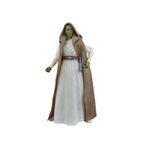 Star Wars Black Series 2025 wave 1 (5 figure set)