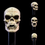 Shipping this month - Mythic Legions All Stars 6 - Undead Heads Pack
