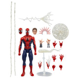 Marvel Legends Maximum Series Deluxe Spider-Man 6-Inch Figure