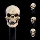 Shipping this month - Mythic Legions All Stars 6 - Undead Heads Pack