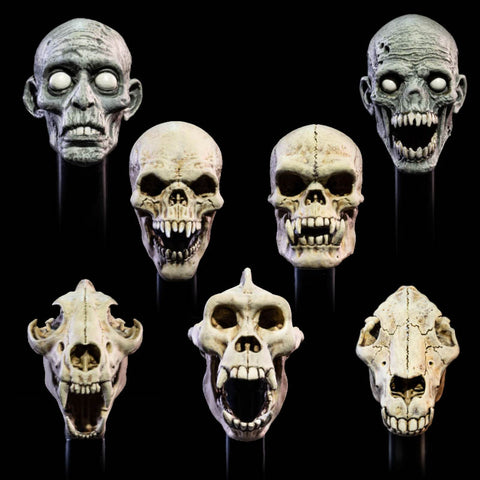 Shipping this month - Mythic Legions All Stars 6 - Undead Heads Pack
