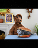 NECA Ultimate Alf Figure