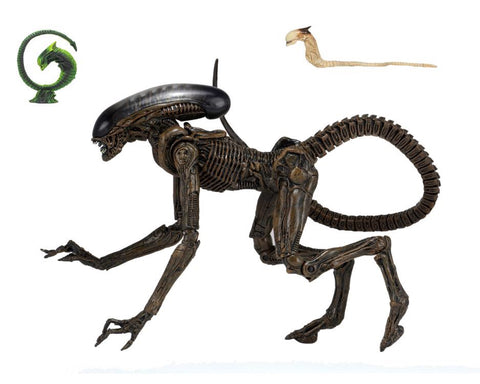 NECA Alien 3 Ultimate Dog Alien