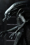 Neca 40th Ultimate Big Chap Alien 7” scale figure
