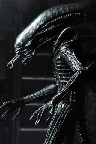 Neca 40th Ultimate Big Chap Alien 7” scale figure
